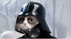 Avatar de Usuario
